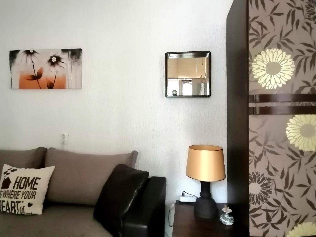 Jelena Apartment Bělehrad Exteriér fotografie