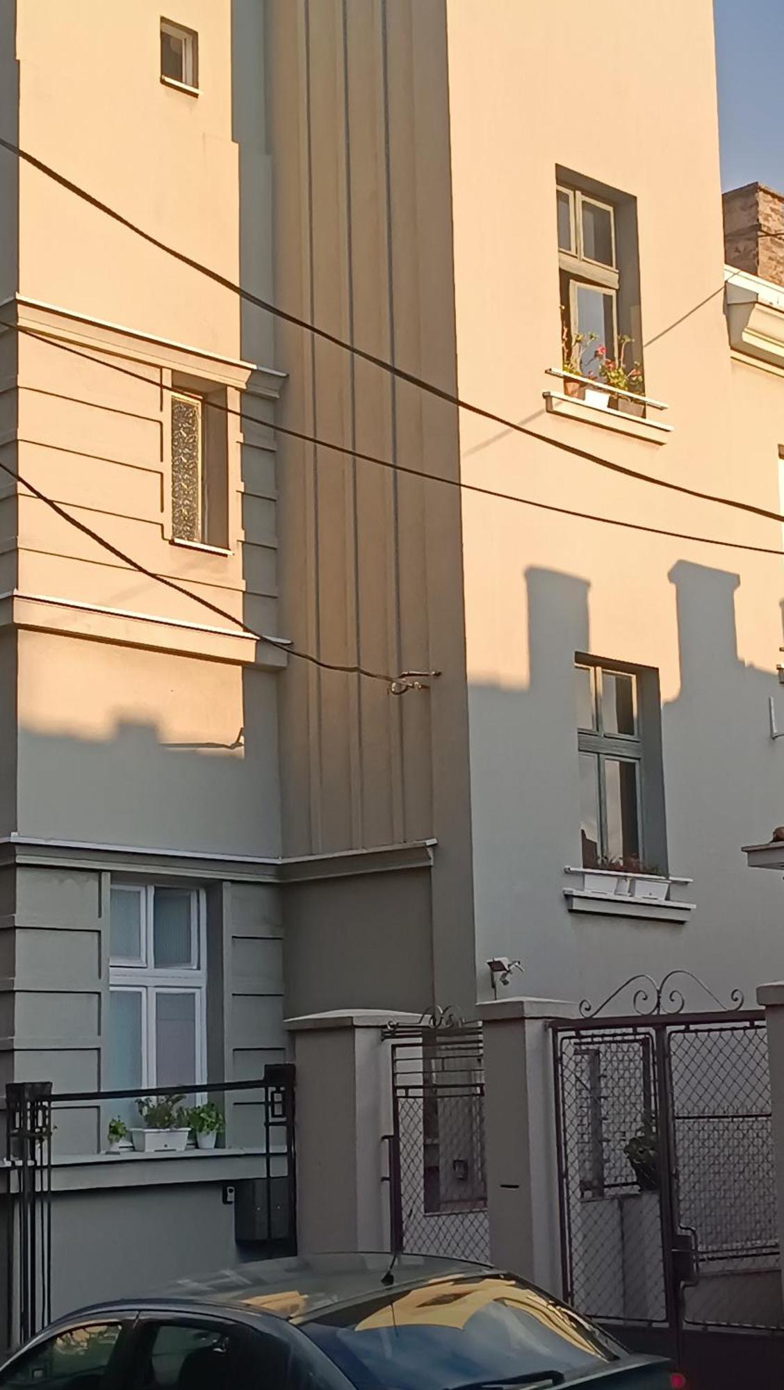 Jelena Apartment Bělehrad Exteriér fotografie